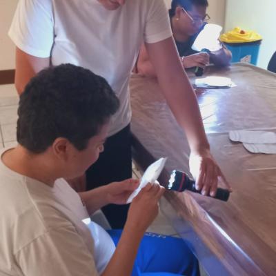 Salas De EstimulaCAo 1